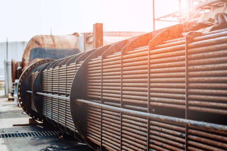 Heat exchanger food processing